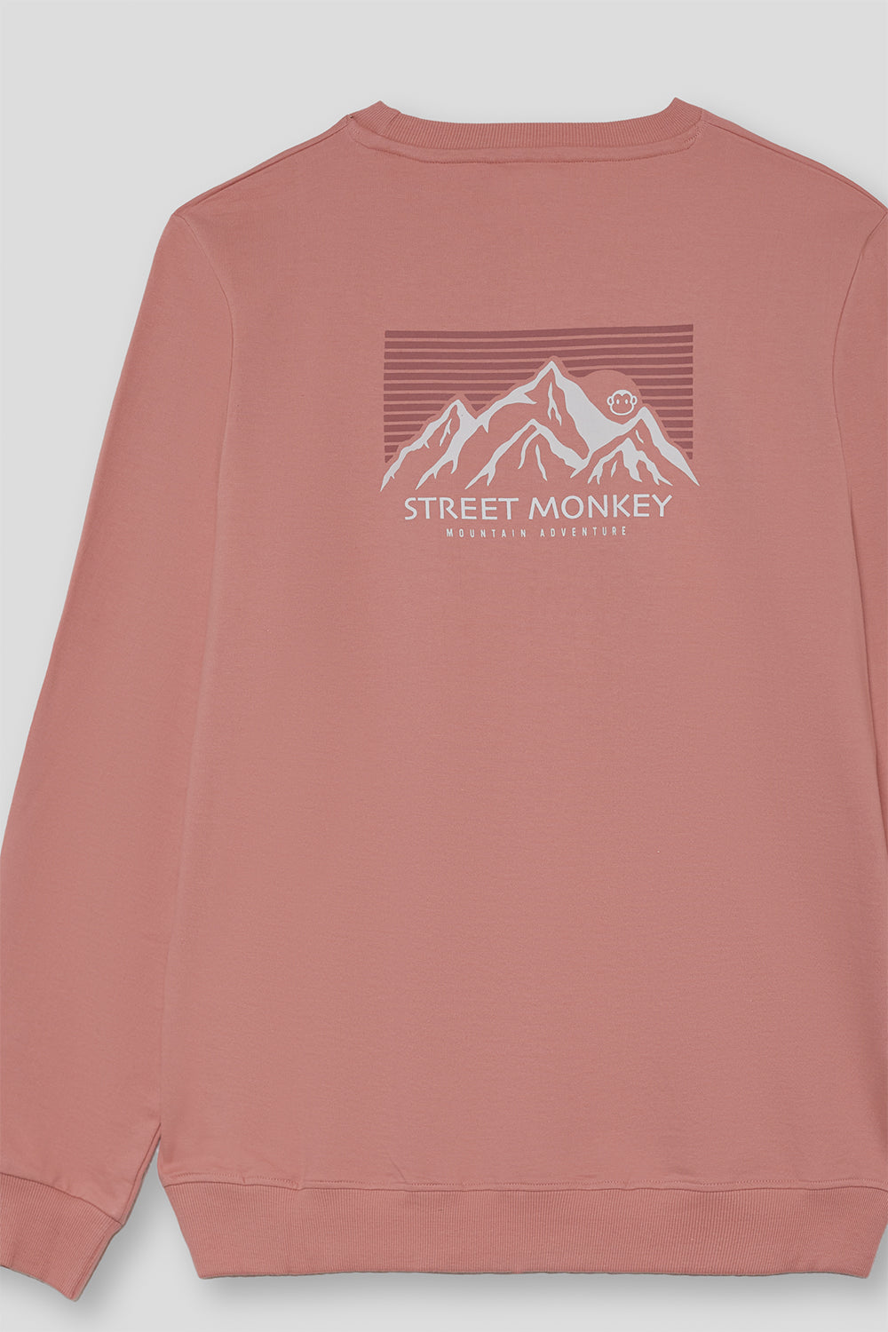 Sudadera niño maquillaje Street Monkey mountain